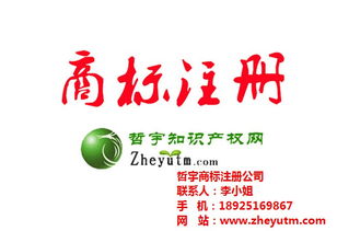 哲宇知識產(chǎn)權(quán)代理 圖 廣東國際商標(biāo)公司 國際商標(biāo)高清圖片 高清大圖